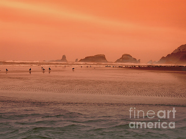 Beach Glow Photograph