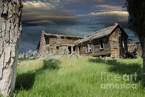Homestead Spirits Photograph