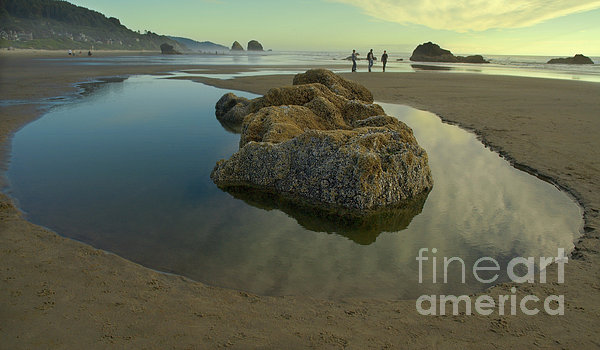 Tidepool Monolith Photograph