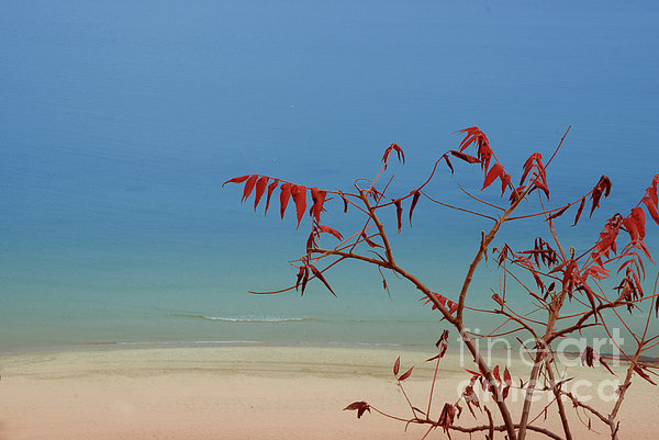 Tranquil Blue Photograph